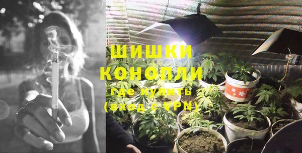 дурь Лиски