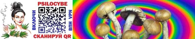 Псилоцибиновые грибы Psilocybe  Купить где  Анапа 
